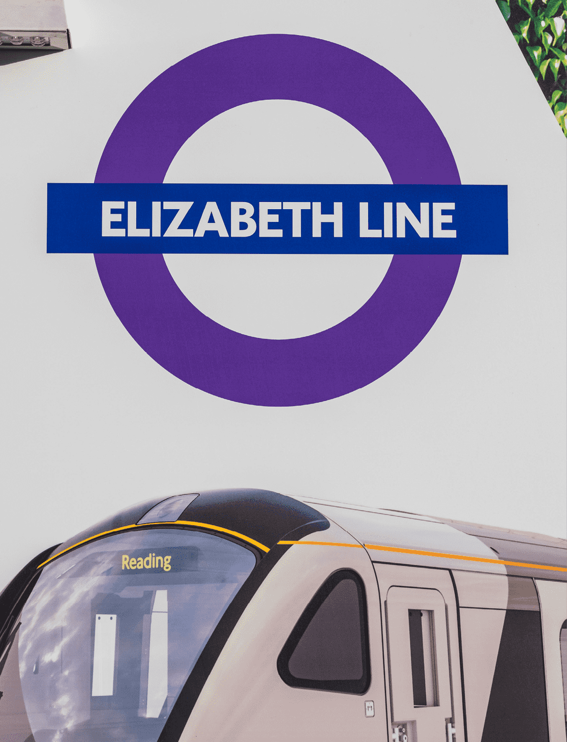 Eliazebeth Line Portrait