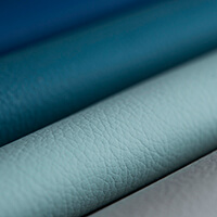 Layer
